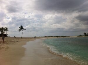 bahami