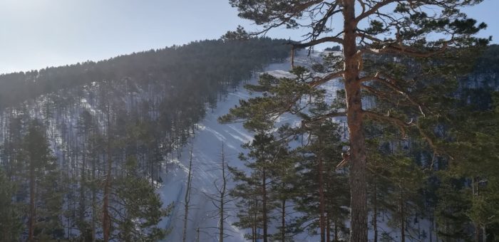 Divčibare – blizina, svežina i milina.