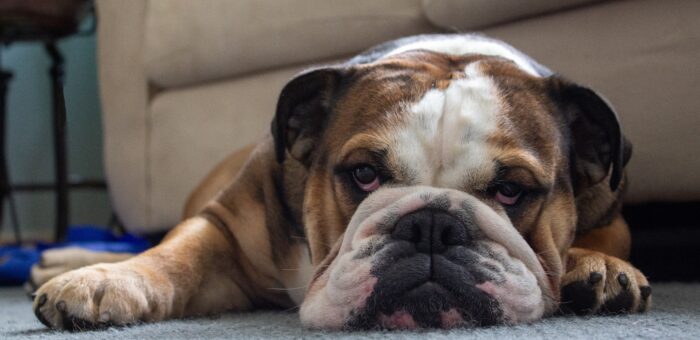 THE ART OF DOING NOTHING. Become a master at it in 3 simple steps.